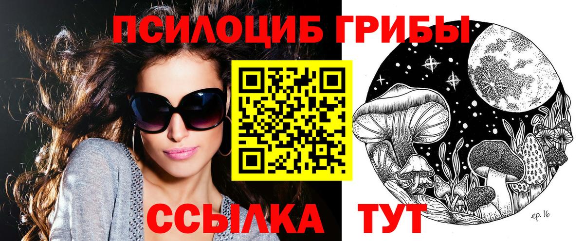 Боровичи  как найти закладки  Вход с VPN  Псилоцибиновые грибы Psilocybine cubensis 