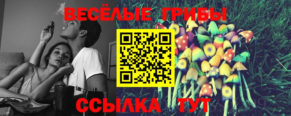 Псилоцибиновые грибы Magic Shrooms Боровичи